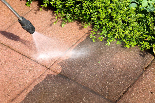 Best Local Pressure Washing Services  in South Windham, CT